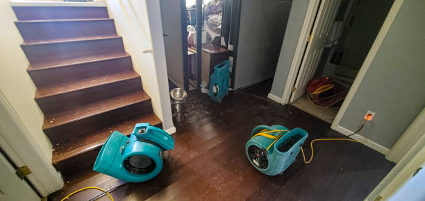 Best 24-hour water damage restoration  in Sherman, TX