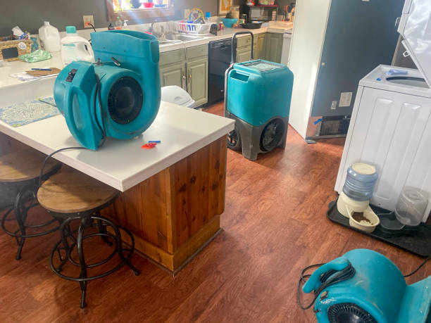 Best 24-hour water damage restoration  in Sherman, TX