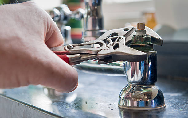 Best Mold removal after water damage  in Sherman, TX